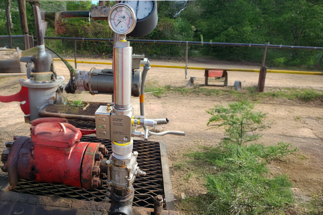 Registros Especializados de Niveles